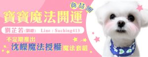 寶寶